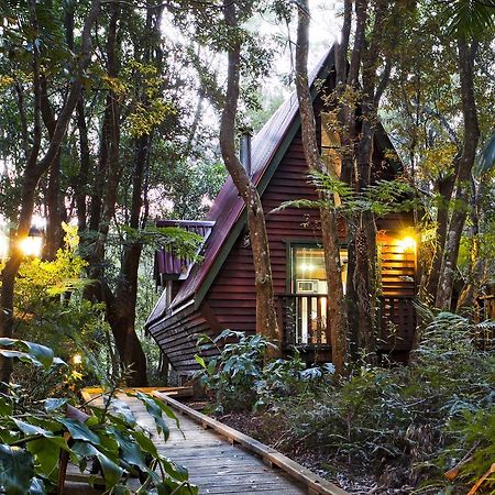 The Mouses House Rainforest Retreat Springbrook Kültér fotó