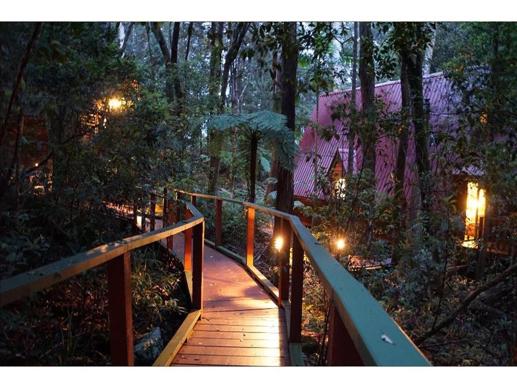 The Mouses House Rainforest Retreat Springbrook Kültér fotó