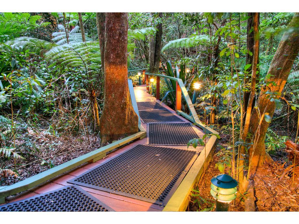 The Mouses House Rainforest Retreat Springbrook Kültér fotó