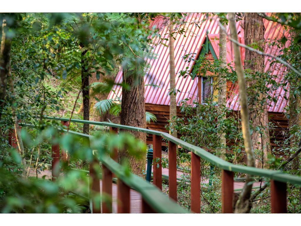 The Mouses House Rainforest Retreat Springbrook Kültér fotó