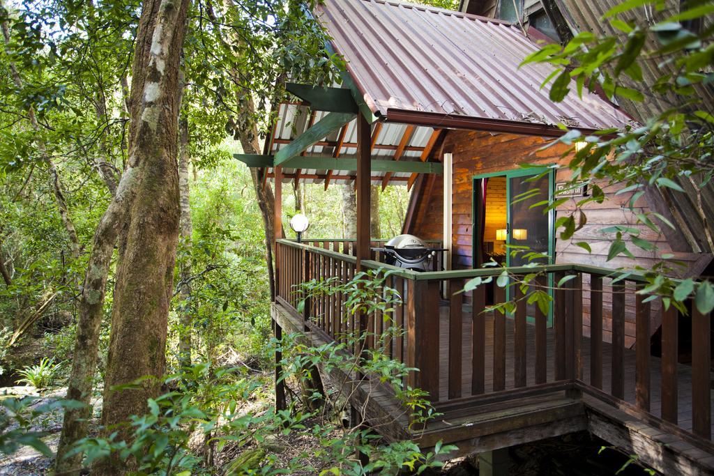 The Mouses House Rainforest Retreat Springbrook Kültér fotó