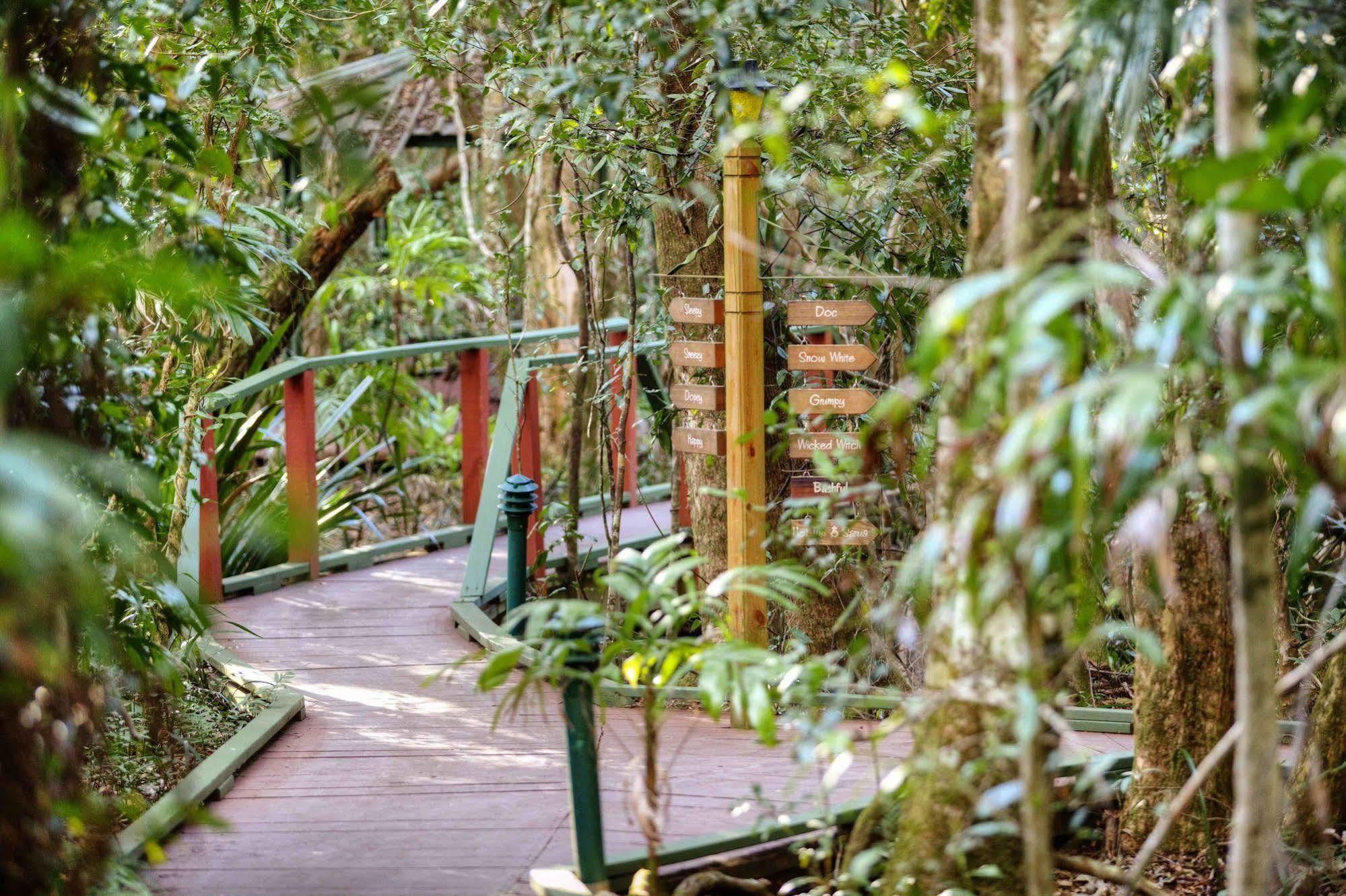 The Mouses House Rainforest Retreat Springbrook Kültér fotó