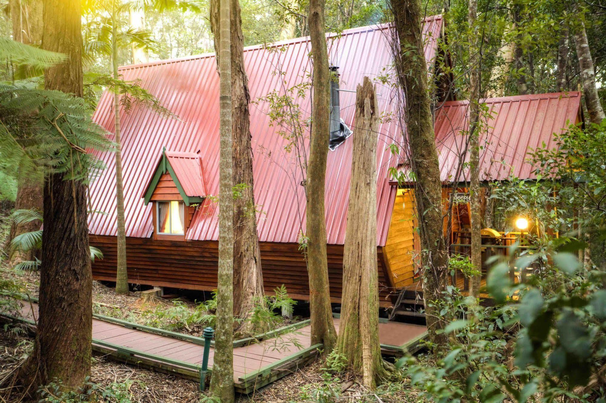 The Mouses House Rainforest Retreat Springbrook Kültér fotó